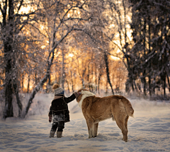 我有一只叫喵的汪采集到Elena Shumilova 儿童/宠物