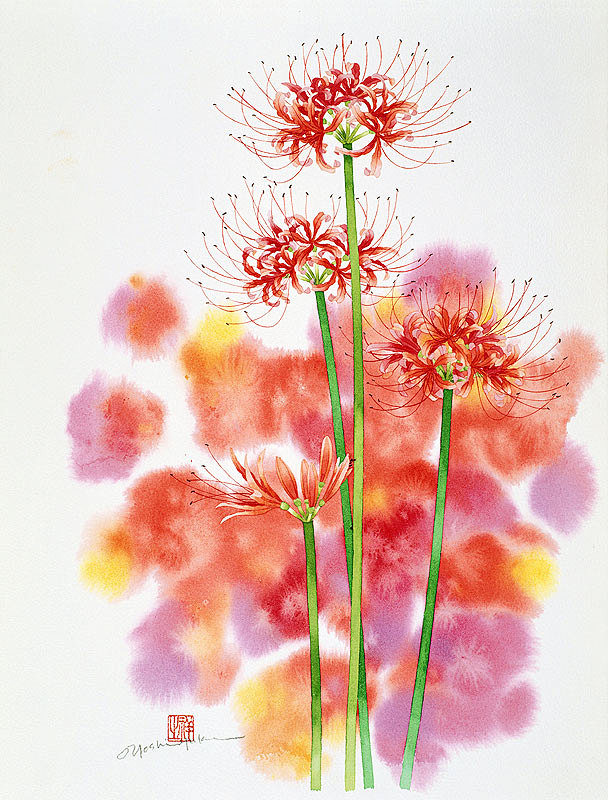 赤絵細描風アート「彼岸花に揚羽図」イラスト原画 赤絵細描風アート「彼岸花に揚羽図」イラスト原画