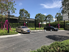 miki-in采集到街头绿地