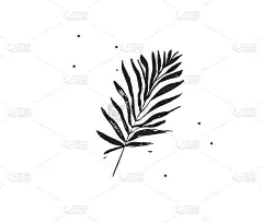 手绘矢量抽象股票平面图形插图的标志元素热带，黑色异国情调的棕榈叶剪影艺术在简单的风格品牌，孤立在白色