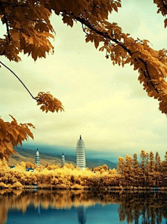 桑小楼采集到沿途风景