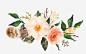 精美LOGO装饰_新图网ixintu.com