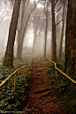 Mystical Journey, Sintra, Portugal

photo via maureen

