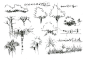 植物的手绘技法讲解示范：人人小站： http://zhan.renren.com/97043106  微信公众帐号：在微信查找公众帐号里，直接输入汉字：汇之途手绘