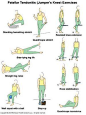 Physical Therapy Exercises In Pictures | Physical Therapy Online