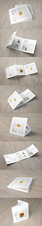 Square Minimal Cool White Trifold Brochure Template InDesign INDD