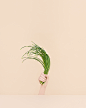 Top Creative Work On Behance : Showcase and discover creative work on the world's leading online platform for creative industries.