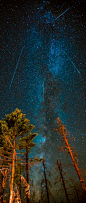 Perseids Meteor Shower - Northern California