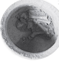 安徽宿州发现西周精美陶器 鸡骨清晰可见（图）_文化频道_凤凰网