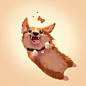 Mochi the Corgi : Dog portrait