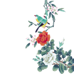 蒙古大酸奶采集到花