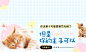 猫咪1125-675-banner