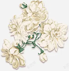 手绘牡丹高清素材 页面 页面网页 平面电商 创意素材 png素材