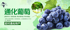 十九花开采集到【详情页】水果