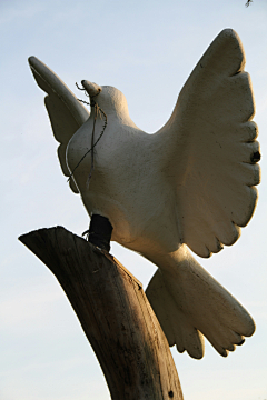 MgY5uhIK采集到Bird