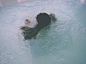 神仙姐姐的相册-窒息的美。 #水下摄影#
