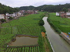 Tabb踢踢采集到新农村