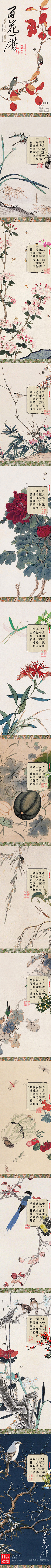 jinhezi00采集到创意