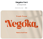Negoka Font | Storytype Studio | FontSpace