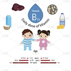 维生素B13或乳清酸信息图