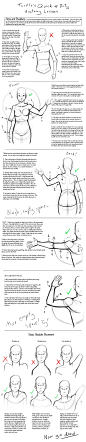 Q+D Anatomy Lessons- Arms and Shoulders by Turtle-Arts on deviantART