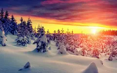 冬季唯美的雪SNOW壁纸下载 第2页-ZOL桌面壁纸 #国内#