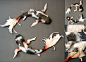 CUSTOM ORDER Koi Pair by creaturesfromel on Etsy