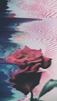 目录｜平面设计
主题｜花的光影
内容｜创意花朵手机壁纸
颜色｜紫色系
艺术家｜Jessica Andersdotter
平面设计设计全球#设计师##美学# ​​​ ​​​​