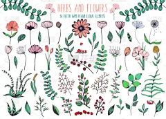 叶子,数字50,枝,贺卡,浆果,花,乱画,春天,结婚请柬,花