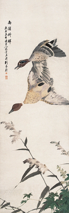 com采集且听风吟***采集到花鸟31黄秋园tianlang71.blog.163.