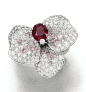 Ruby, pink diamond and diamond ring, 'Caresse D'Orchidées', Cartier - Sotheby's.  Designed as an orchid, set at the centre with an oval ruby, the petals and shank pavé-set with brilliant-cut pink and near colourless diamonds, size J, signed Cartier and nu