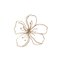 手绘樱花免扣元素墨水钢笔花卉插画典雅装饰包装素材设计图形