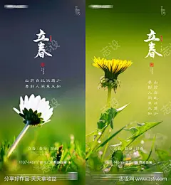 立春春分房地产海报_源文件下载_PSD格式_2836X3071像素-简约,大气,壁纸,美景,中式,花朵,春天,二十四节气,海报,房地产,清明,谷雨,雨水,春分,立春-作品编号:2023011709175917-志设-zs9.com