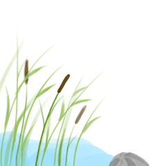 手绘水彩芦苇丛植物透明背景免抠PNG图案 装饰PS设计合成素材 (1)