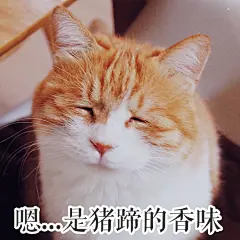 #著名网黄猫日# 黄猪猪表情包好运降临拜托了 ​​​​