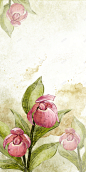 现代清新花卉美妆节电商海报背景高清素材 化妆品 印花 女装活动 春女装 春季上新 春暖花开 淘宝 清新 约惠春天 美妆节 美容 花卉 鲜花 背景 设计图片 免费下载 页面网页 平面电商 创意素材