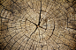 Weathered Wood Photograph by Marcus Angeline