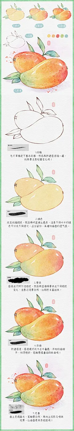 ipad水彩91✔芒果插画教程_1_蕾蕾的画室_来自小红书网页版