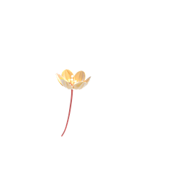 ♥小样哪里跑！♥采集到花瓣，漂浮物