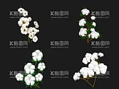 棉花  - 源文件下载【酷图网】棉花,手绘棉花,棉花插画,棉花树,手绘棉花树,棉花素材,棉花元素,