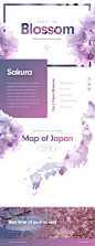 Cherry Blossom Landing Page by Nathan Riley for Green Chameleon: 