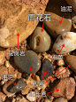 河边石头分类图 (1)