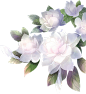 bf71583bfc6e76ee6aa8a50f6c38d58b2e2938b280c95-5aYj7e_fw1200