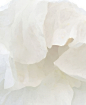 e1a8b52d3339359bb431f5f11cb94308-gigapixel-standard v2-2x