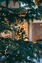Christmas tree with string lights_BG _急急如率令-B59793827B- -P3047410924P-  ?yqr=17676106# _美图_T2020428 