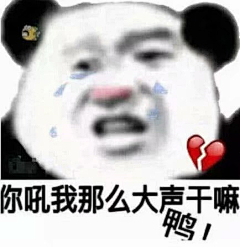一只爱设计的猫采集到GIF