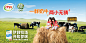 beijing-eye-production-yili-milk-campaing-2014-08-kids-photographer-china-anzu-bai-location-scouting-003.jpg (1024×515)
