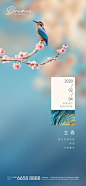 【南门网】 海报 房地产 二十四节气 立春 简约 花鸟 312868