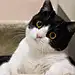 多云转晴℃