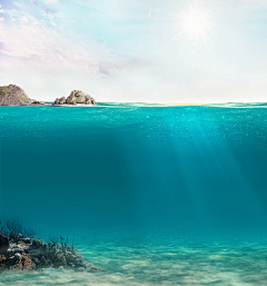 海豚有点懵采集到自然背景